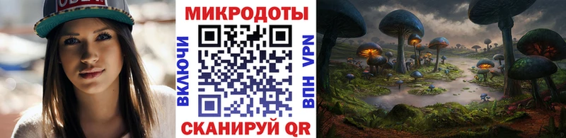 Псилоцибиновые грибы Psilocybe где можно купить наркотик Пущино